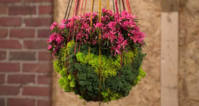 DIY - Mosbol met azalea
