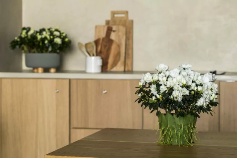 Afbeelding bij artikel: DIY | Back to nature