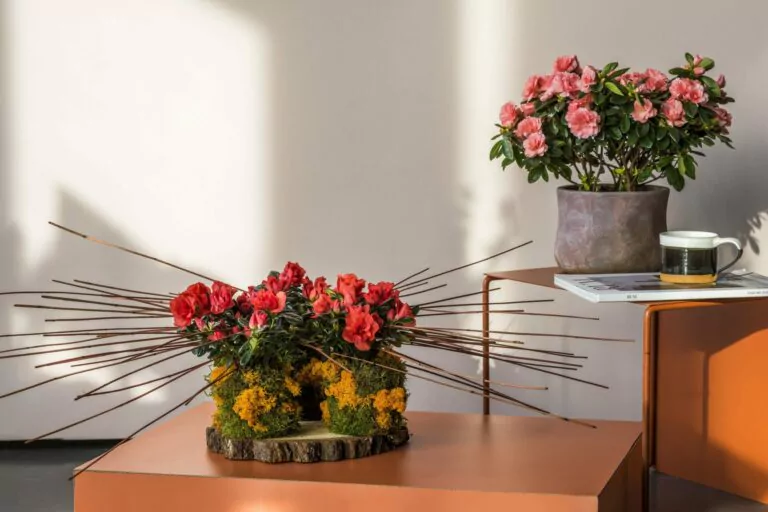 Afbeelding bij artikel: DIY | Herfst op de plank