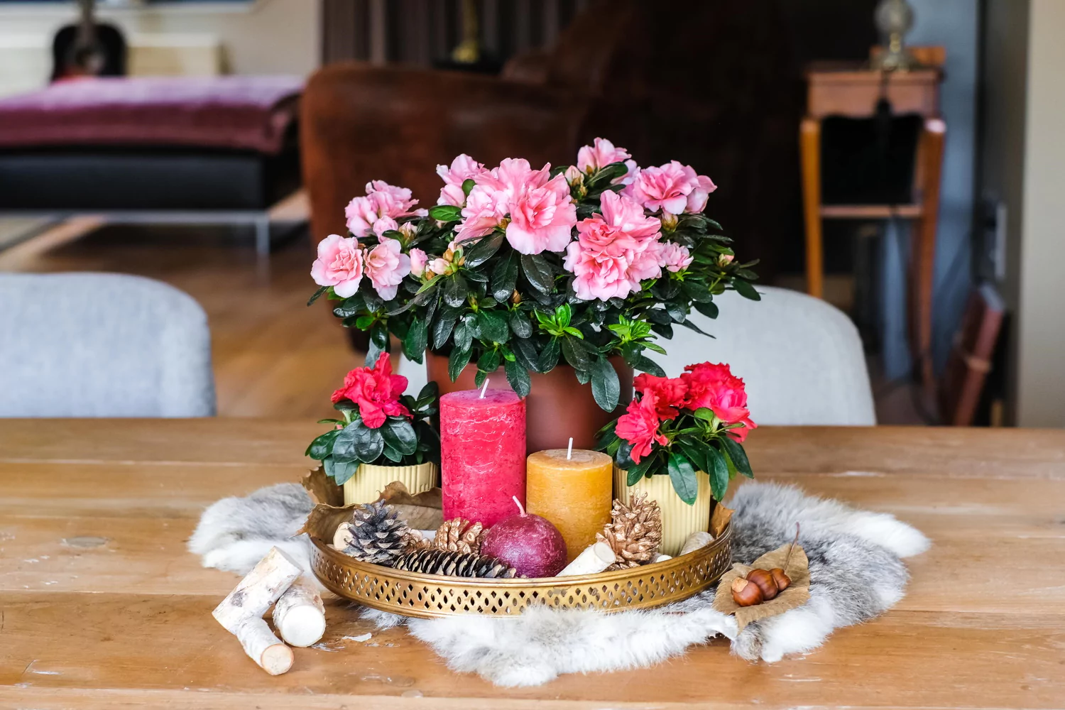 Herfsttafel met Gentse azalea