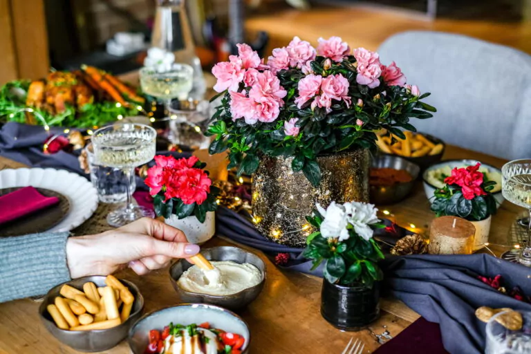 Afbeelding bij artikel: Geef kleur aan je kersttafel met de Gentse azalea